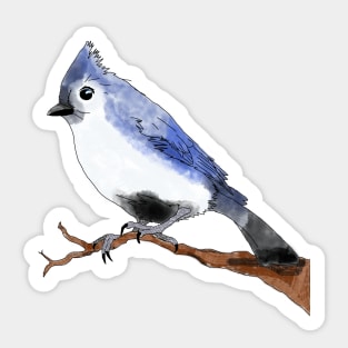 The Little Blue Jay Sticker